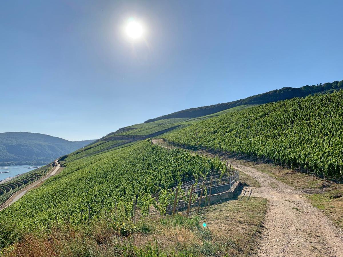 Fewo Zur Goldenen Traube Rüdesheim am Rhein Exterior foto